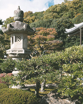 庭