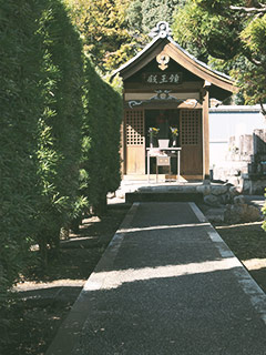 天澤院墓苑への道