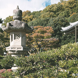 年間行事