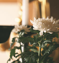 仏花