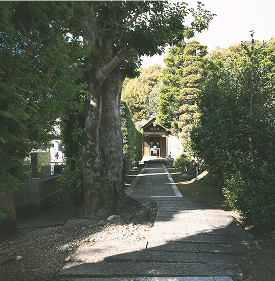 天澤院霊園入口